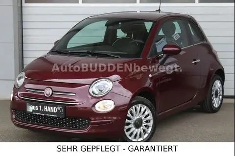 Used FIAT 500 Petrol 2019 Ad 