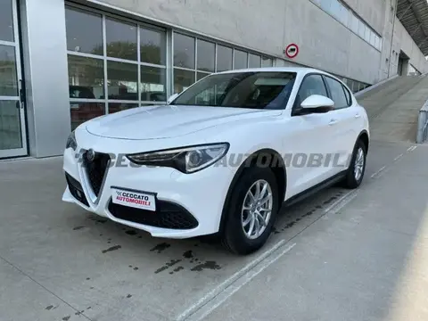 Used ALFA ROMEO STELVIO Diesel 2020 Ad 