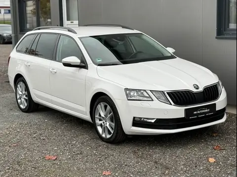 Used SKODA OCTAVIA Diesel 2019 Ad 