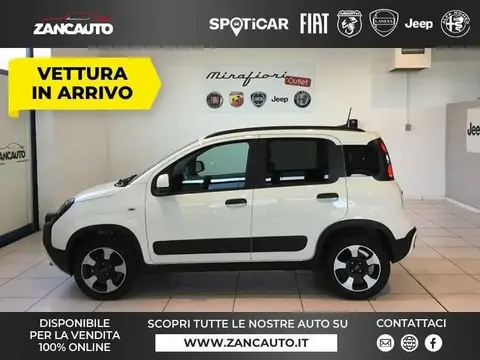 Used FIAT PANDA Hybrid 2024 Ad 