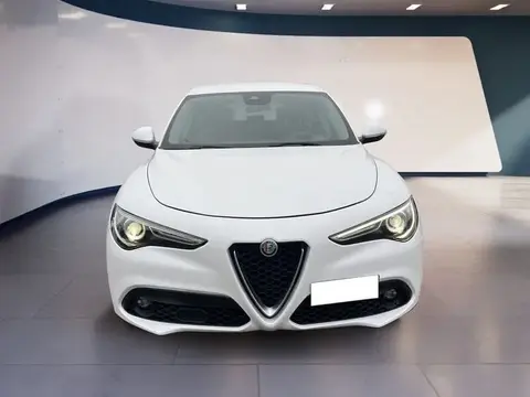 Used ALFA ROMEO STELVIO Diesel 2019 Ad 