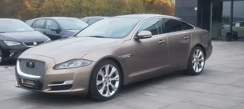 Annonce JAGUAR XJ Diesel 2017 d'occasion 