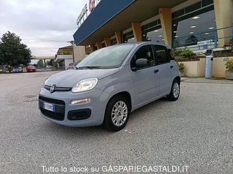 Annonce FIAT PANDA Essence 2019 d'occasion 