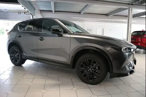 Used MAZDA CX-5 Petrol 2024 Ad 