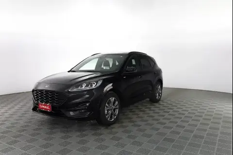 Used FORD KUGA Hybrid 2023 Ad 