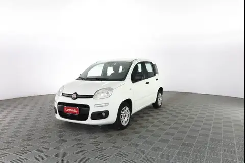 Used FIAT PANDA Petrol 2020 Ad 