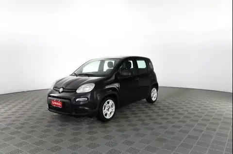 Used FIAT PANDA Hybrid 2024 Ad 