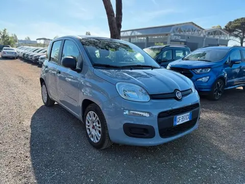 Used FIAT PANDA Hybrid 2021 Ad 