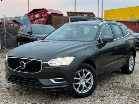 Annonce VOLVO XC60 Hybride 2019 d'occasion 