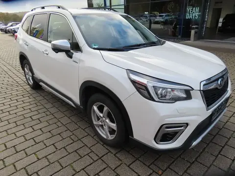 Used SUBARU FORESTER Hybrid 2019 Ad 