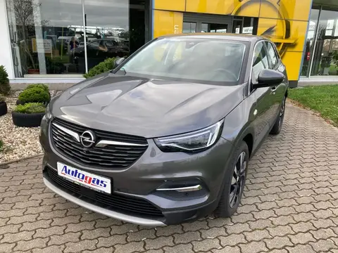 Annonce OPEL GRANDLAND GPL 2019 d'occasion 