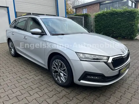 Annonce SKODA OCTAVIA Diesel 2023 d'occasion 