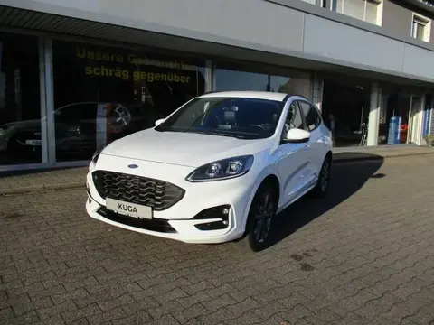 Annonce FORD KUGA Hybride 2022 d'occasion 