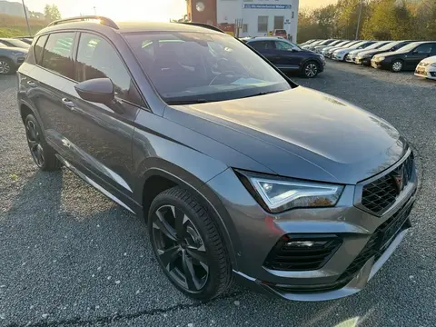 Used CUPRA ATECA Petrol 2024 Ad 