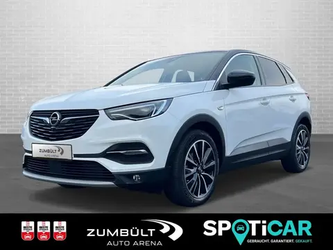 Used OPEL GRANDLAND Petrol 2021 Ad 