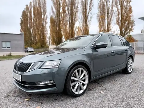 Annonce SKODA OCTAVIA Diesel 2019 d'occasion 