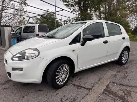 Annonce FIAT PUNTO Essence 2018 d'occasion 