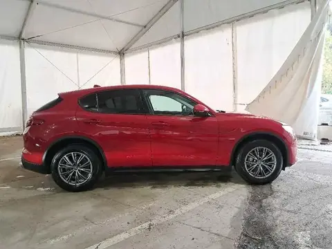 Used ALFA ROMEO STELVIO Diesel 2019 Ad 