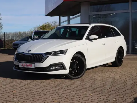 Used SKODA OCTAVIA Petrol 2020 Ad 