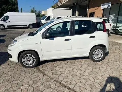 Used FIAT PANDA Petrol 2020 Ad 