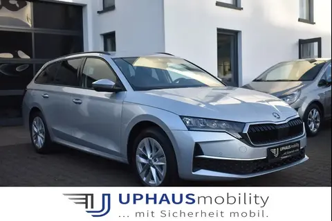 Used SKODA OCTAVIA Diesel 2024 Ad 