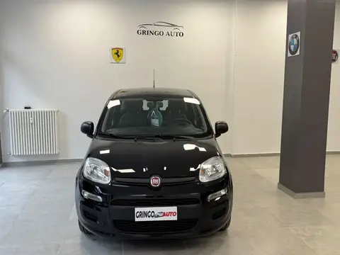 Used FIAT PANDA Hybrid 2022 Ad 