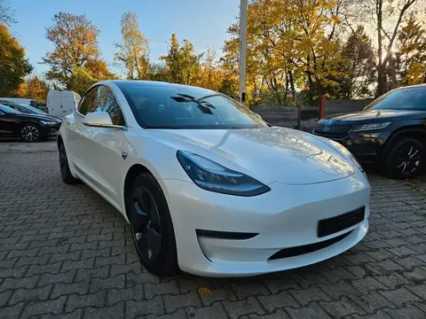 Annonce TESLA MODEL 3 Non renseigné 2019 d'occasion 