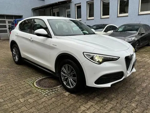 Annonce ALFA ROMEO STELVIO Diesel 2021 d'occasion 