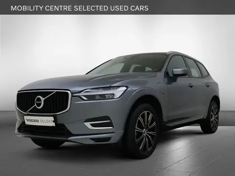 Used VOLVO XC60 Hybrid 2018 Ad 