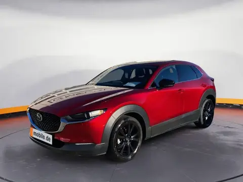 Annonce MAZDA CX-30 Essence 2024 d'occasion 