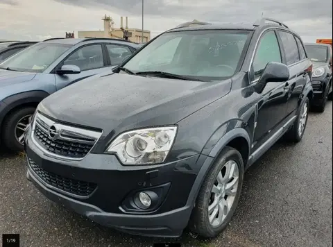 Used OPEL ANTARA Diesel 2017 Ad 