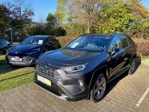 Used TOYOTA RAV4 Hybrid 2019 Ad 