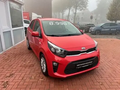 Used KIA PICANTO Petrol 2019 Ad 