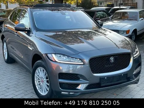 Used JAGUAR F-PACE Diesel 2016 Ad 