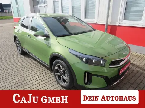 Used KIA XCEED Petrol 2024 Ad 