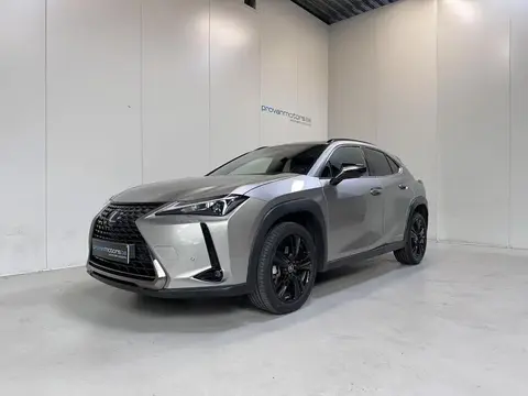 Annonce LEXUS UX Hybride 2022 d'occasion 