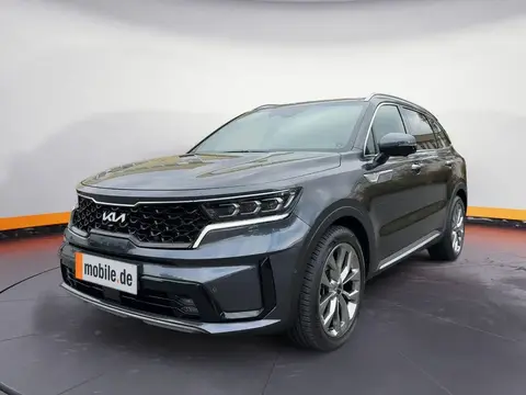 Annonce KIA SORENTO Diesel 2024 d'occasion 