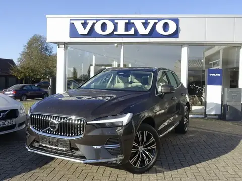 Used VOLVO XC60 Petrol 2021 Ad 