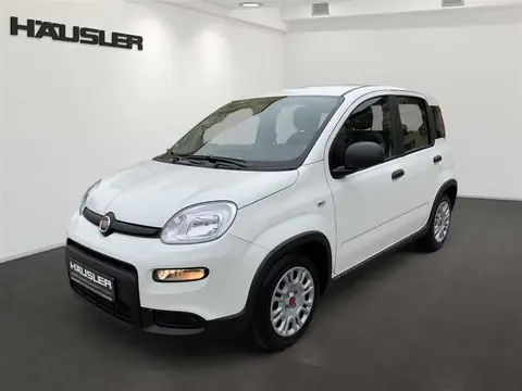 Used FIAT PANDA Petrol 2023 Ad 