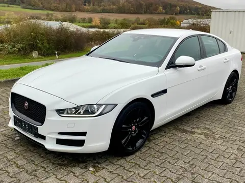 Annonce JAGUAR XE Diesel 2015 d'occasion 