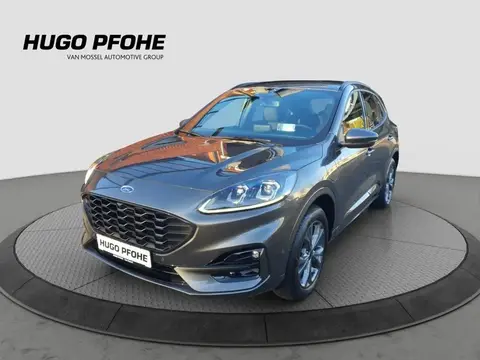 Used FORD KUGA Hybrid 2023 Ad 