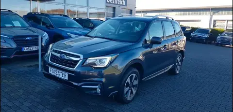 Used SUBARU FORESTER Petrol 2017 Ad 