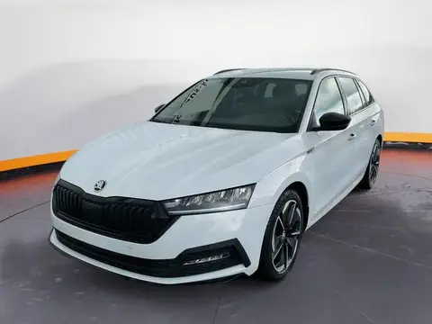 Annonce SKODA OCTAVIA Essence 2024 d'occasion 