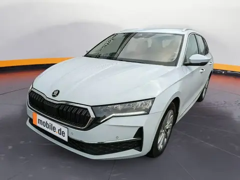 Annonce SKODA OCTAVIA Essence 2024 d'occasion 