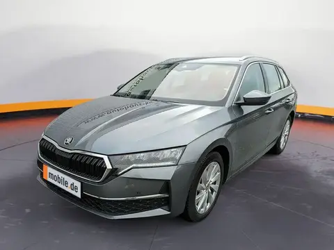 Used SKODA OCTAVIA Petrol 2024 Ad 