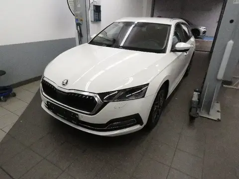 Annonce SKODA OCTAVIA Diesel 2020 d'occasion 