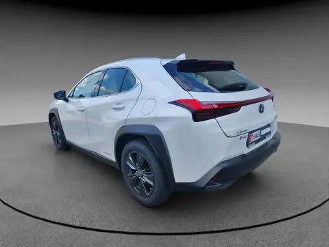 Used LEXUS UX Hybrid 2019 Ad 