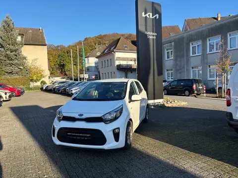 Annonce KIA PICANTO Essence 2018 d'occasion 