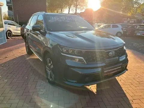 Used KIA SORENTO Hybrid 2021 Ad 