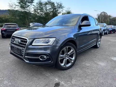 Used AUDI SQ5 Diesel 2017 Ad 